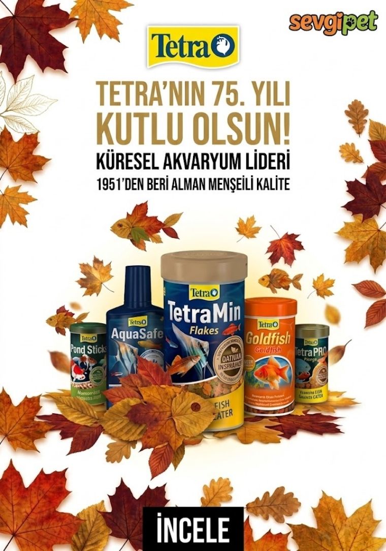Balık