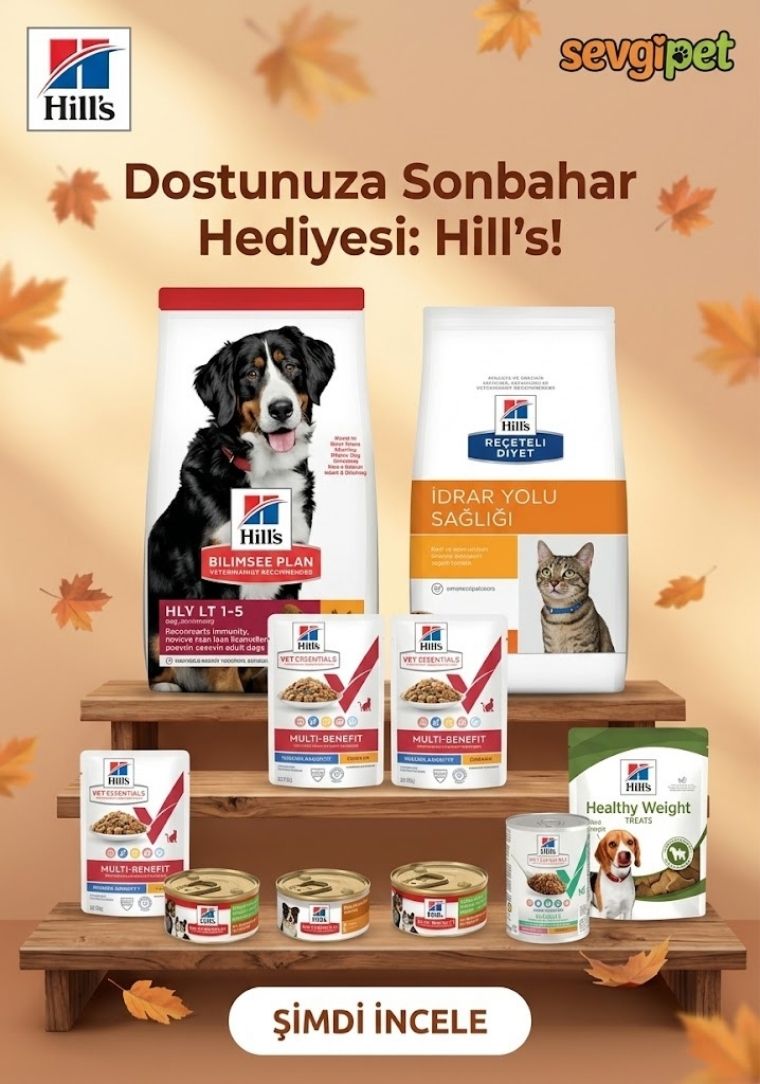 Köpek