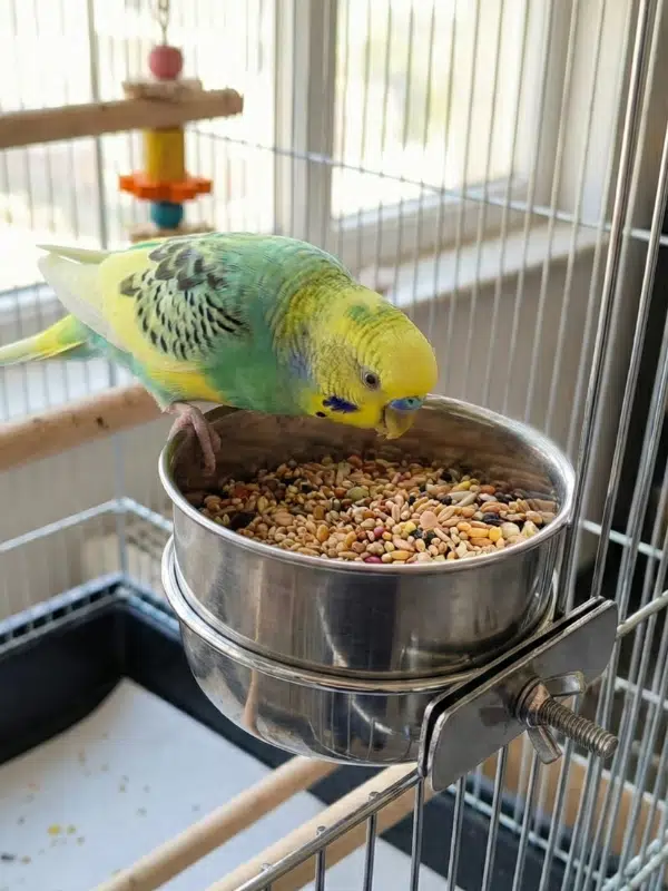 Vidalı Sistem Paslanmaz Çelik Kuş Mama ve Su Kabı ( 13 cm )