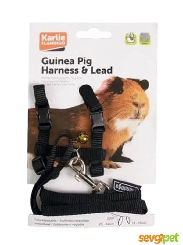 Gine Pig Tasma ve Uzatma 120Cm