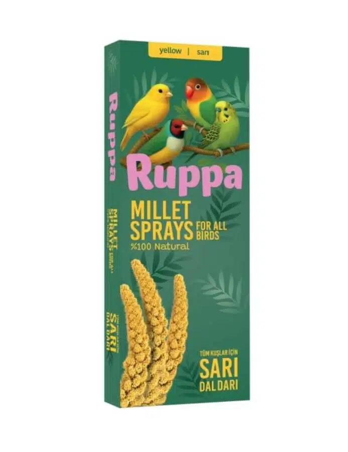 SVGPT Ruppa Sarı Darı Kutulu 150gr