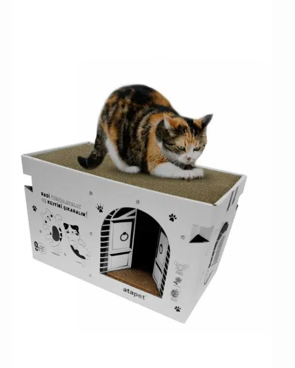Karton Kedi Tırmalama ve Dinlenme Evi - Eğlenceli ve Konforlu Kedi Yuvası
