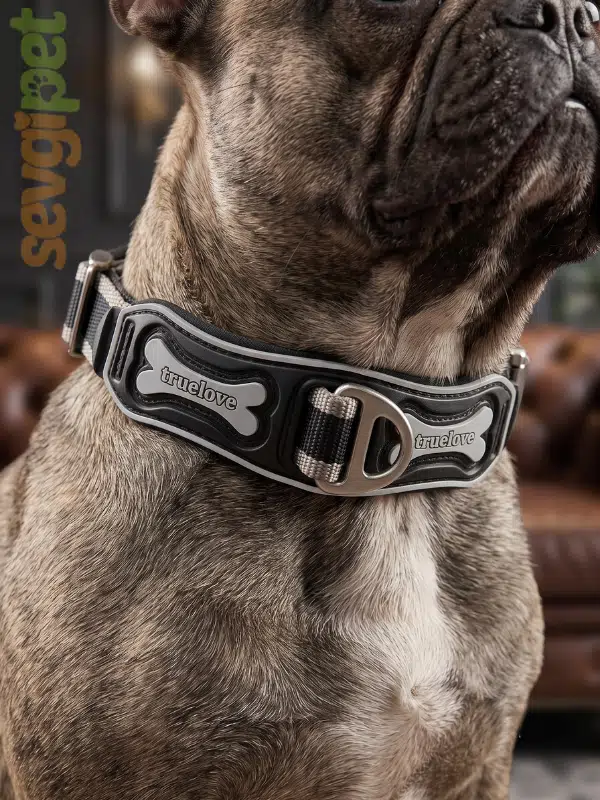 SVGPT TRLVE Metal Tokalı Reflektörlü Köpek Boyun Tasması