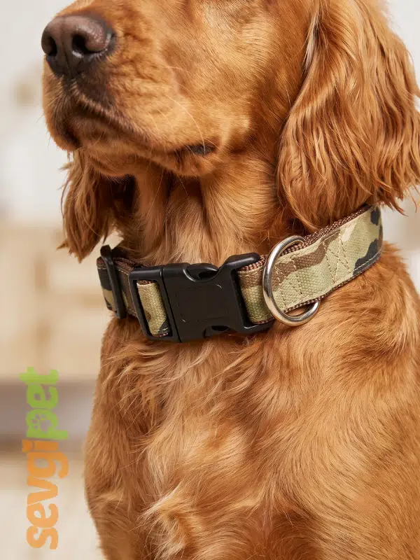 DrScch Kamuflaj Desenli Ayarlanabilir Köpek Boyun Tasması