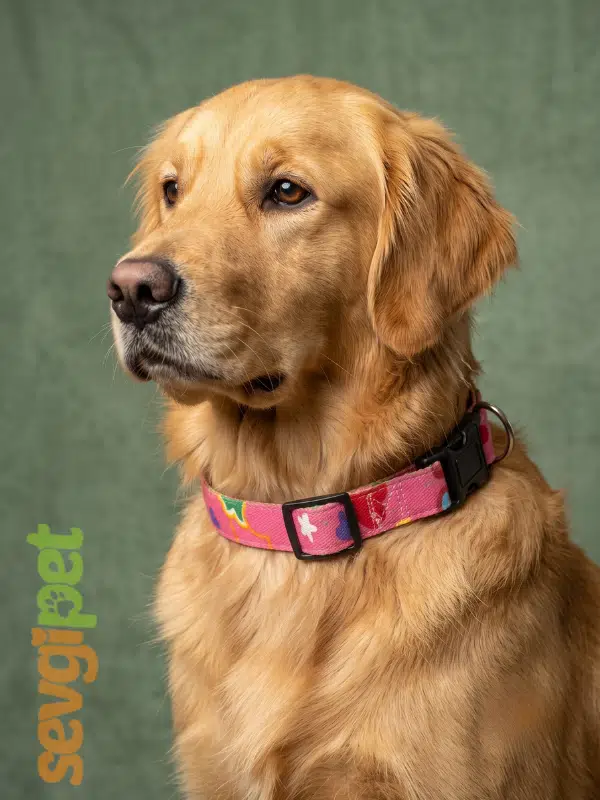 Kalp Desenli Ayarlanabilir Köpek Boyun Tasması Pembe 20 mm (35-60 cm)