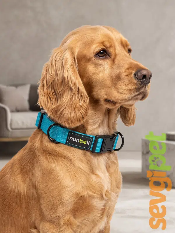 Ayarlanabilir Martingale Eğitim Köpek Boyun Tasması Mavi