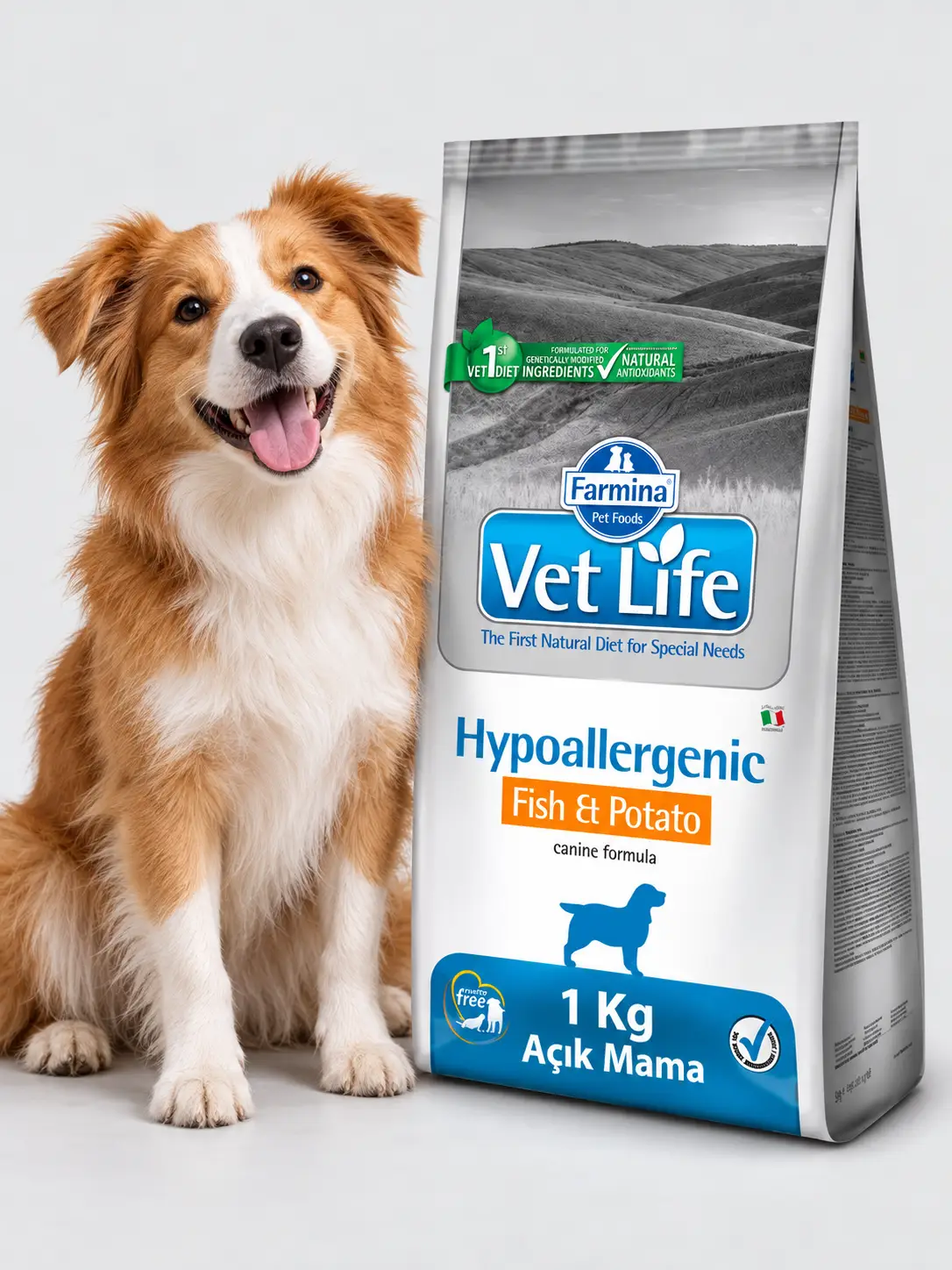 VTLFE Hypoallergenic Balık & Patates Açık Kuru Köpek Maması 1 KG