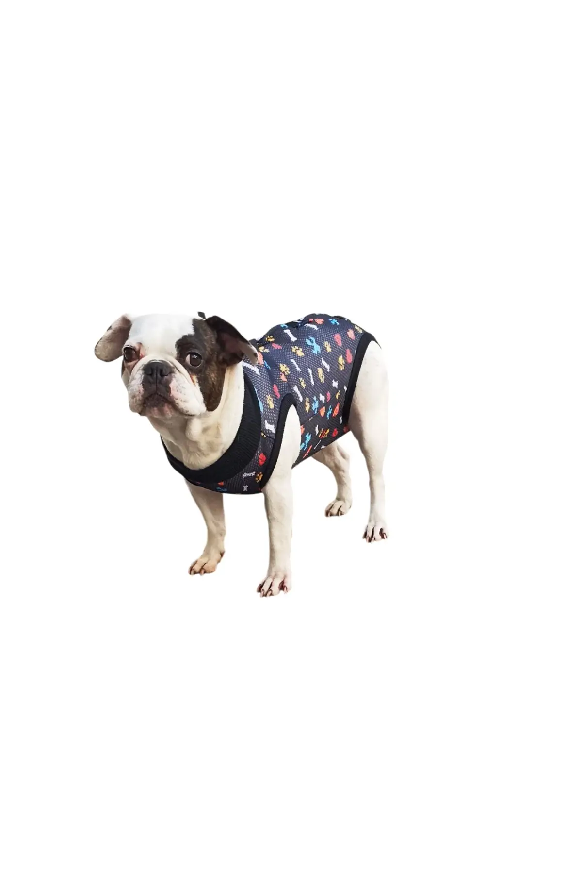 Ameliyat Sonrası Köpek Kıyafeti / Köpek Tulumu / Köpek Korsesi Ameliyat Sonrası Köpek Kıyafeti / Köpek Tulumu / Köpek Korsesi
