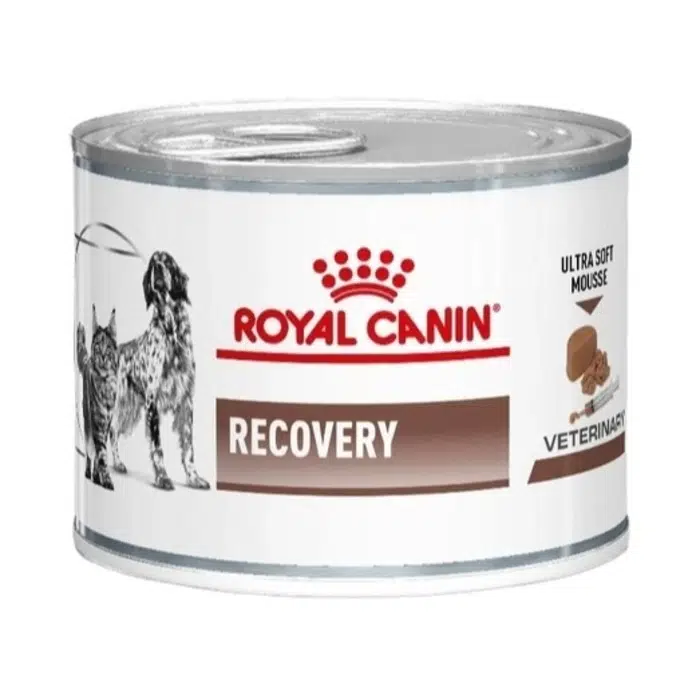 Kedi Köpek Recovery Konserve Yaş Mama 195 Gr