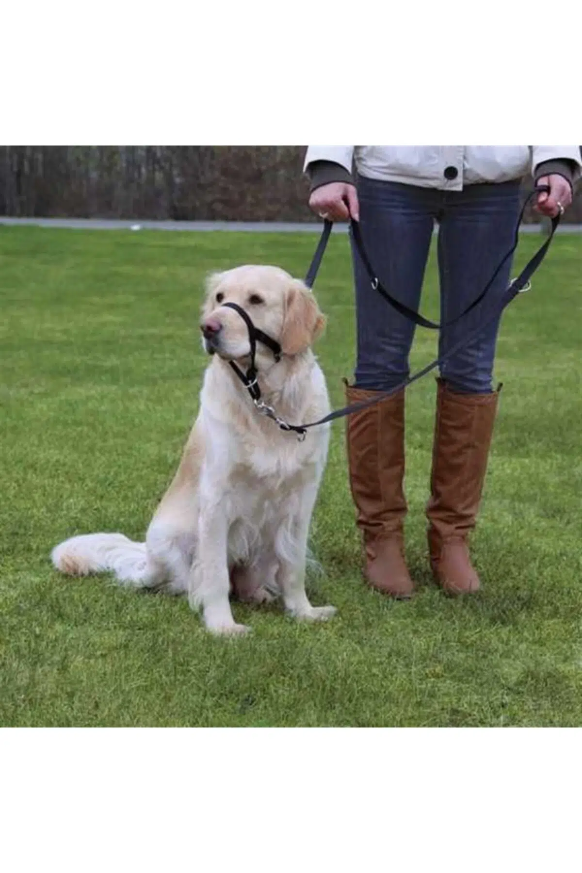 Trixie Uzman Köpek Eğitim Tasması 46cm XL - TRXIE